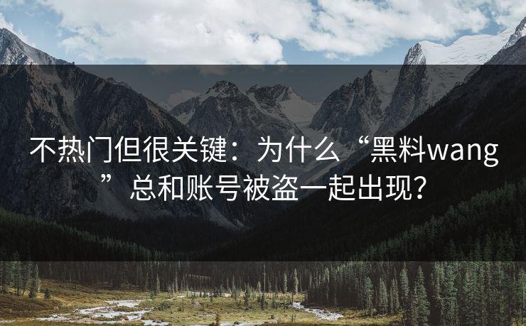 不热门但很关键：为什么“黑料wang”总和账号被盗一起出现？