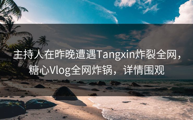 主持人在昨晚遭遇Tangxin炸裂全网,糖心Vlog全网炸锅,详情围观 第1张 主持人在昨晚遭遇Tangxin炸裂全网,糖心Vlog全网炸锅,详情围观 第1张