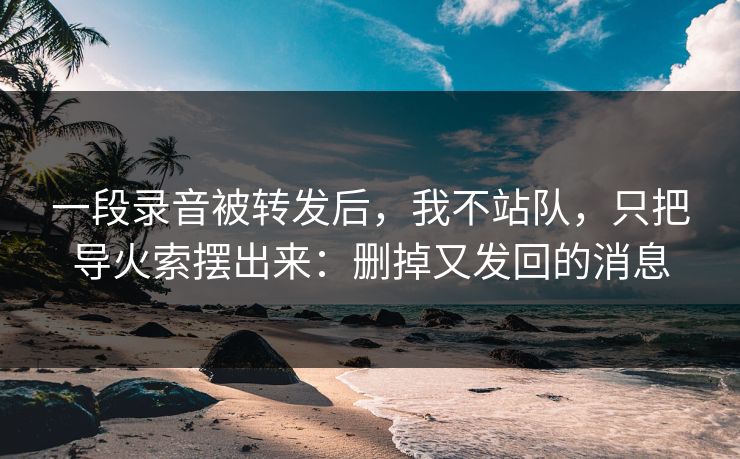 一段录音被转发后，我不站队，只把导火索摆出来：删掉又发回的消息  第2张